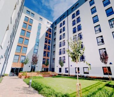 Classic Studio - Photo 6