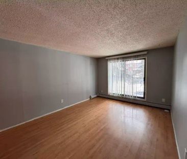 Spacious 1 bed unit with balcony westend | 10141 162 Street Northwe... - Photo 1