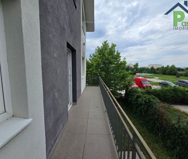Inchiriere vila Otopeni, str. Drumul Garii Balotesti, aeroport - Photo 6