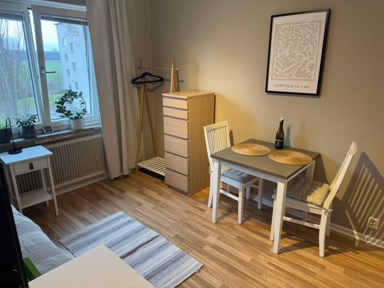 Tiundagatan, Uppsala - Foto 1