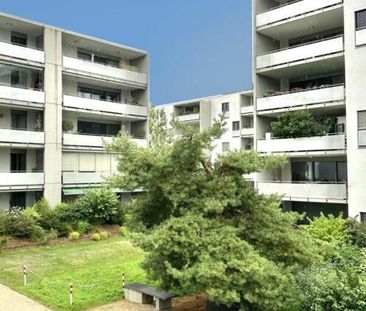 5 room apartment in Cologny - Photo 5