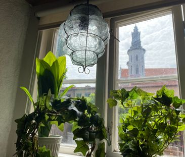 Norra Kyrkogatan, Visby - Photo 4