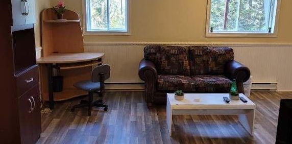 CHAMBRE À LOUER À SAINT-AGATHE-DES-MONTS,PRES DE TOUT LES SERVICES. - Photo 2