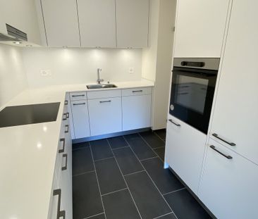 Wohnen über Muttenz; 2020 sanierte Wohnung mit herrlicher Weitsicht - Photo 6