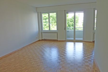 Helle Singlewohnung im Grünen in Altstetten - Foto 4