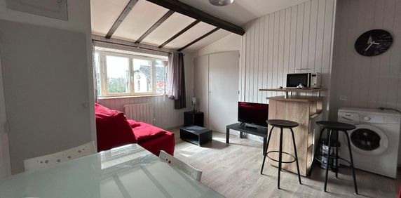 Location Appartement 1 pièce 16m² LIMOGES 87000 - Photo 2