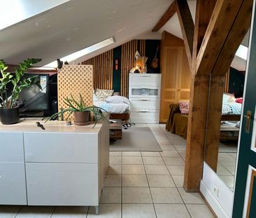 Appartement - MULHOUSE - 15m² - 1 chambre - Photo 3