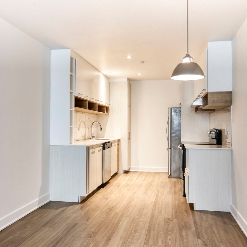 9675 Av. Papineau - Photo 1