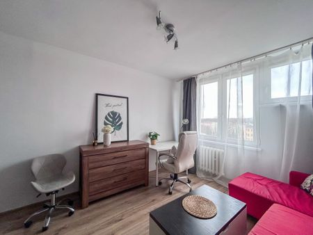 2 pokoje, winda, po remoncie, Śródmieście - Zdjęcie 5