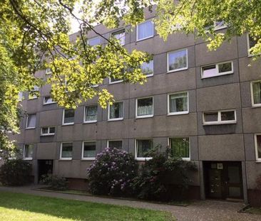 Mitten drin statt nur dabei: großzügige 3-Zimmer-Wohnung - Foto 1