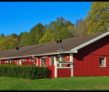 Kan bli ledig tidigare. OBS: Kallhyra. - Foto 1