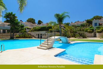 Paradise WINTER OFFER