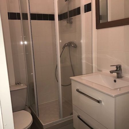 Location Appartement 1 pièce 20m² - Photo 3