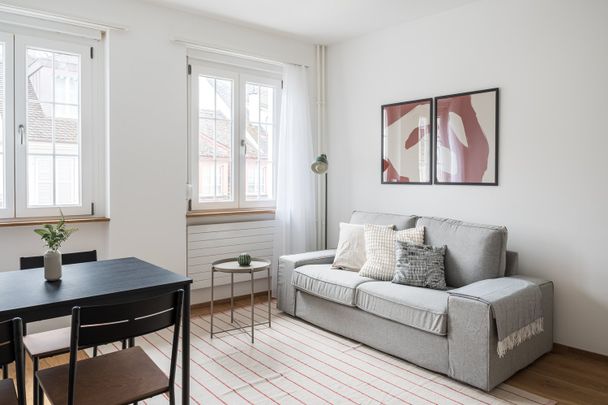 Charming 2.5-Room Apartment in Historic Basel Building - Photo 1