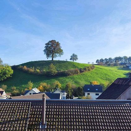 Für eine Einzeplperson in Altstätten (SG), möbliert, auf Zeit - Foto 1