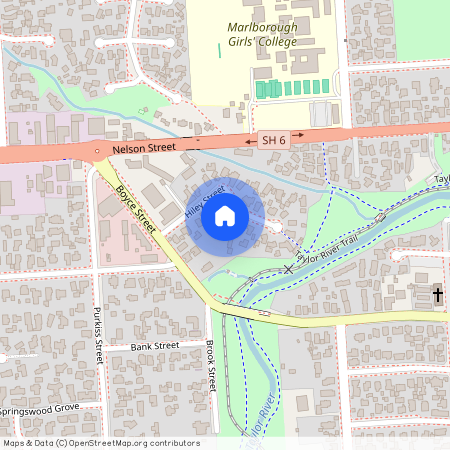 12 Hiley Street, Springlands, Marlborough