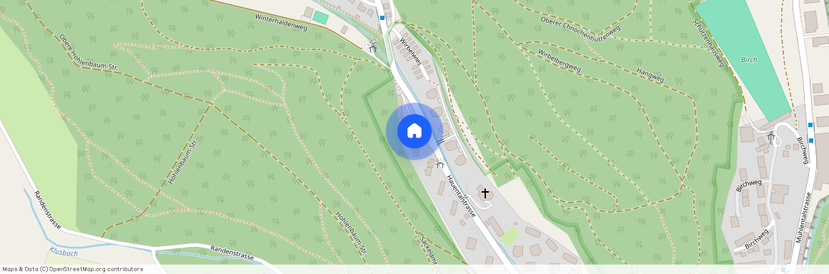 8200, Schaffhausen, Hauentalstrasse, 163