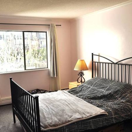 1BR Huge in Safe and Classy Central North Van - Photo 1