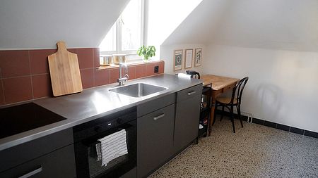 3 Zimmer-Wohnung in Luzern, möbliert, auf Zeit - Foto 3