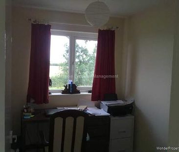 3 bedroom property to rent in Huntingdon - Photo 4