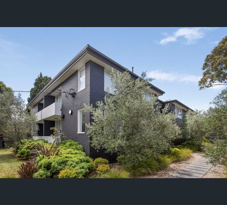 7/23 Haines Street, Hawthorn, Vic 3122 - Photo 2