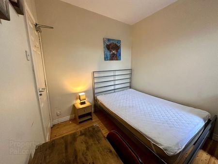 Donegall Road, Room 3, BT125NB, Belfast - Photo 5