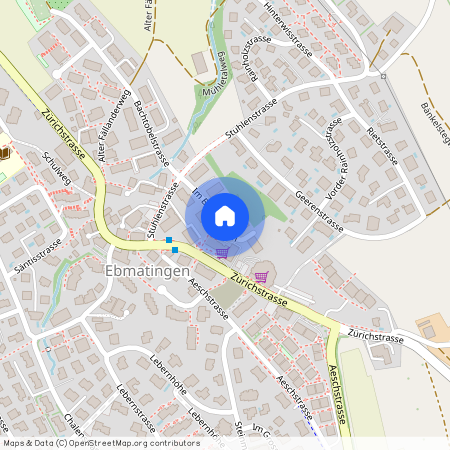 8123 Ebmatingen