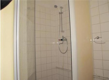 Baloeranstraat 3029 CE Rotterdam - Photo 4