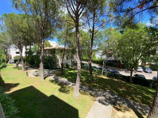 Location appartement 2 pièces 46.7 m² à Montpellier (34000) - Photo 1