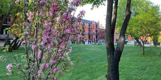 Jardins Des Saules - 1 Bedroom - 5530 Avenue Decelles, Montréal - Photo 3