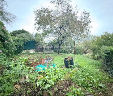 Maison T5 ? 4 chambres ? Grand jardin et terrasse ? Secteur Les Oli... - Photo 5