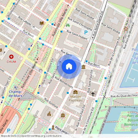 450 Rue du Champ-de-Mars, Montréal (Ville-Marie), H2L3G8
