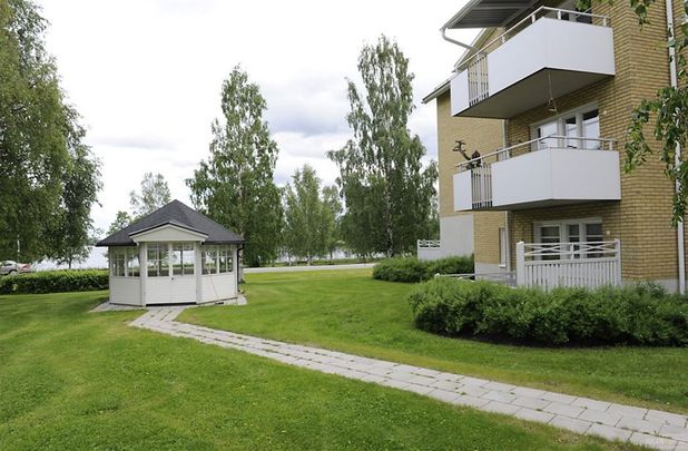 Burträsk, Västerbotten, Skellefteå - Photo 1