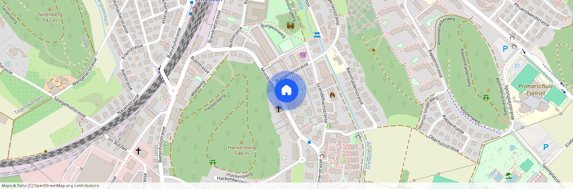 Moosburgstrasse 17, 8307, Effretikon