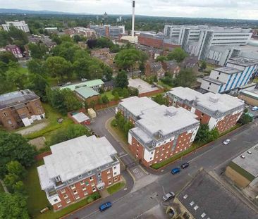 Premium Ensuite - Photo 2