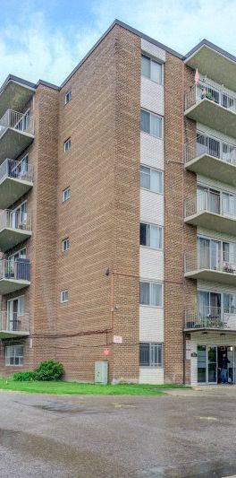 53 McMurchy Ave North - Photo 1