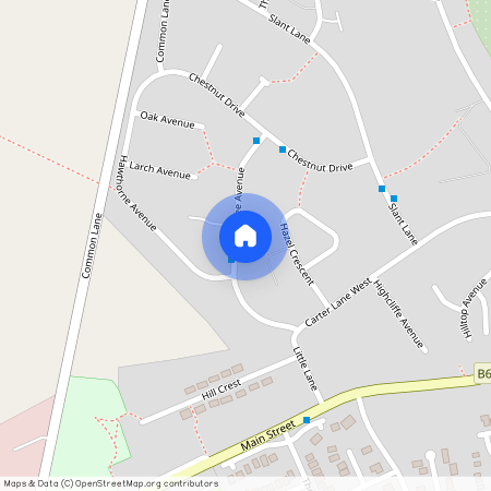 Elm Tree Avenue, Shirebrook