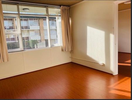 Immaculate One-Bedroom Apartment in the Heart of Ashfield - Photo 2