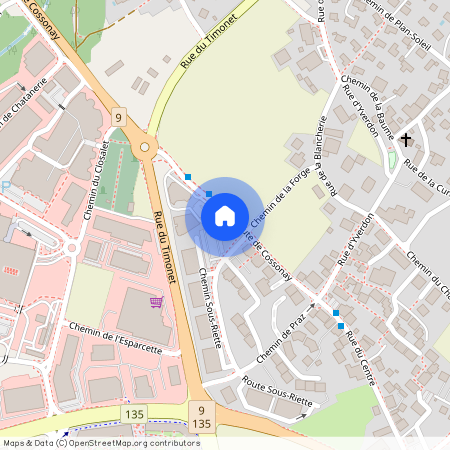 Rue de Cossonay 9 A, 1023 Crissier