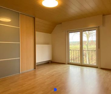 Mooi gerenoveerde woning in Brugge Sint-Pieters! - Photo 5