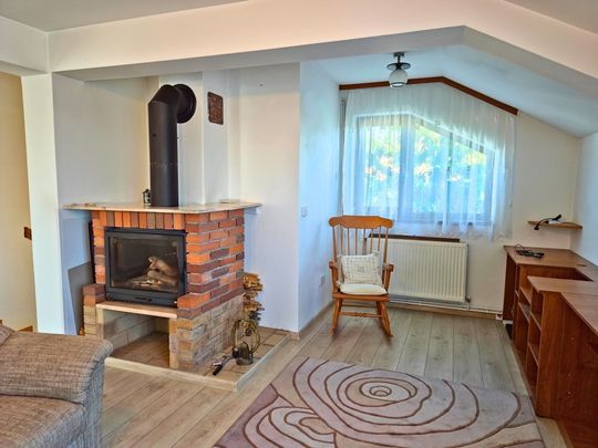 Vila premium cu destinatie mixta, comercial si rezidential - Photo 1