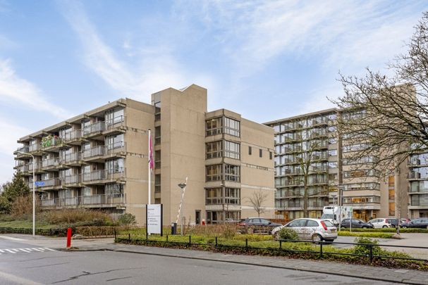 Te huur: Van Bijnkershoeklaan 172 - Foto 1