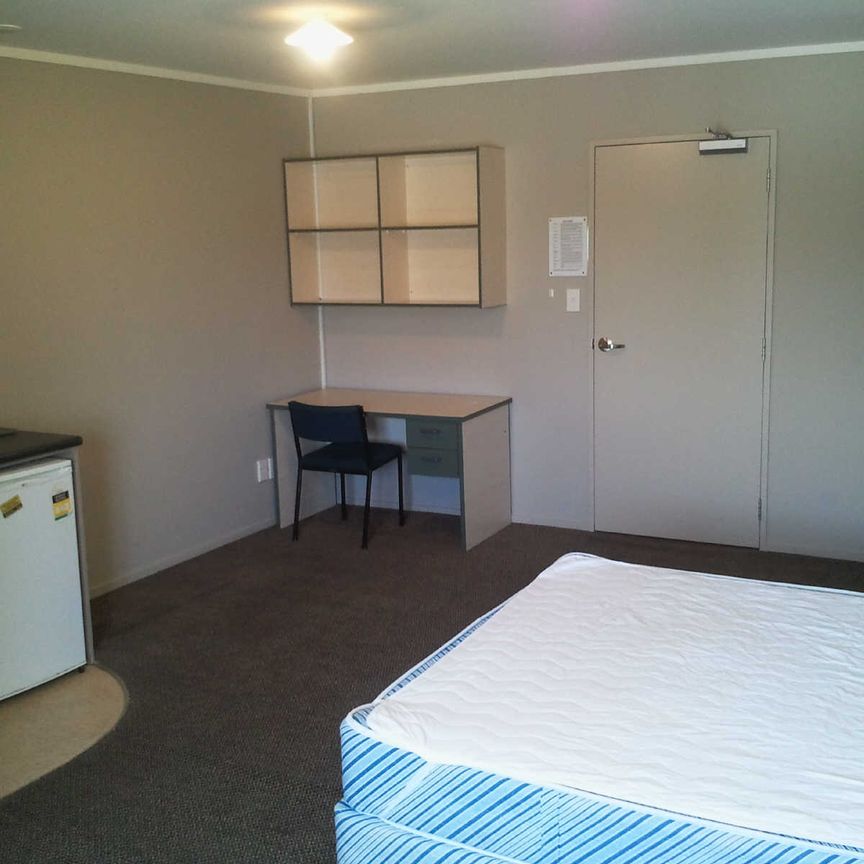 This large, self contained studio room wont last long. - Photo 1