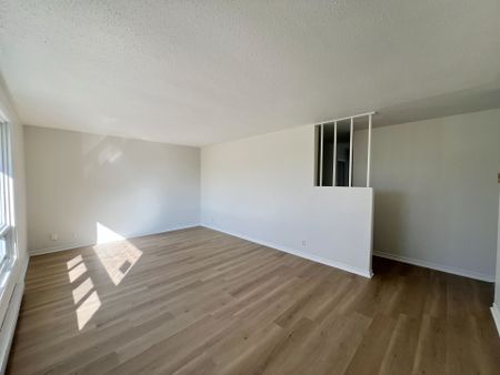 For Lease - 3 Glenarden Crescent Unit# 3, Belleville, Ontario - Photo 2