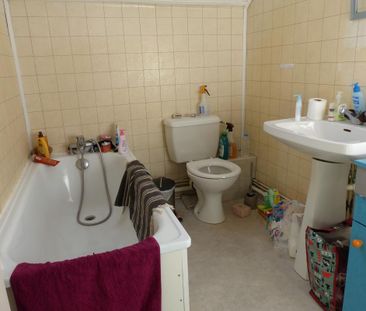 Location Appartement 1 pièce 27m² ANGERS 49100 - Photo 5
