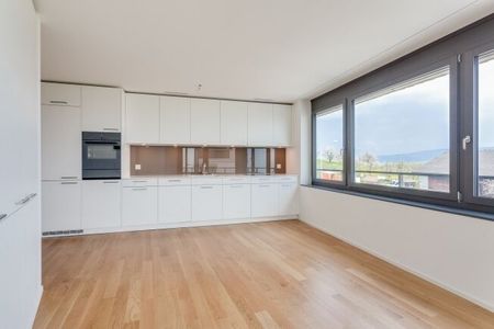 Flow Flats - une vie absolue avec vue sur le lac de Zurich - Foto 5