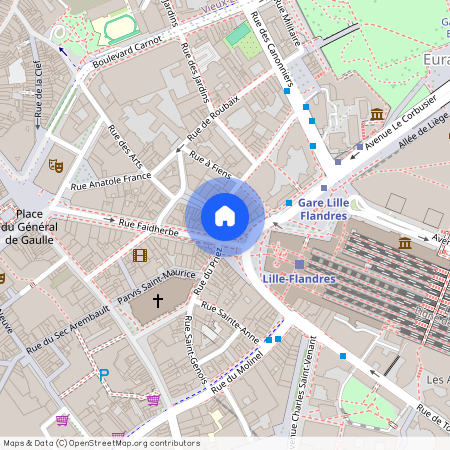 38 Rue du Priez, 59000 Lille