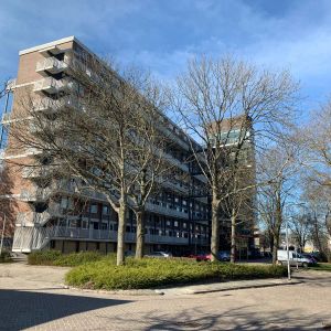 Appartement Antillenweg, Leeuwarden - À Louer - Photo 3