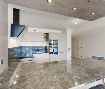 Ferney-Voltaire - Magnificent house for rent with garden - Photo 6