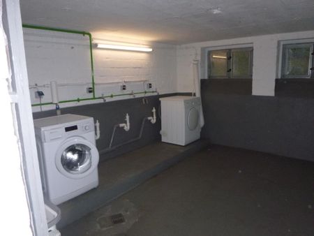 3-Zimmer-Wohnung in Gelsenkirchen Hassel - Photo 3